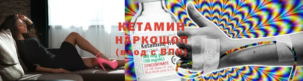 амф Снежногорск