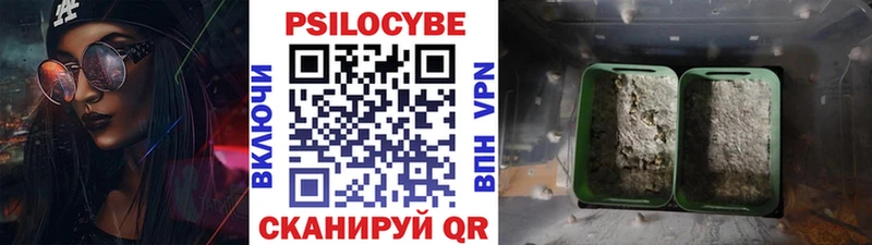 закладки  Будённовск  Галлюциногенные грибы прущие грибы 